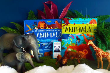 coffret atlas