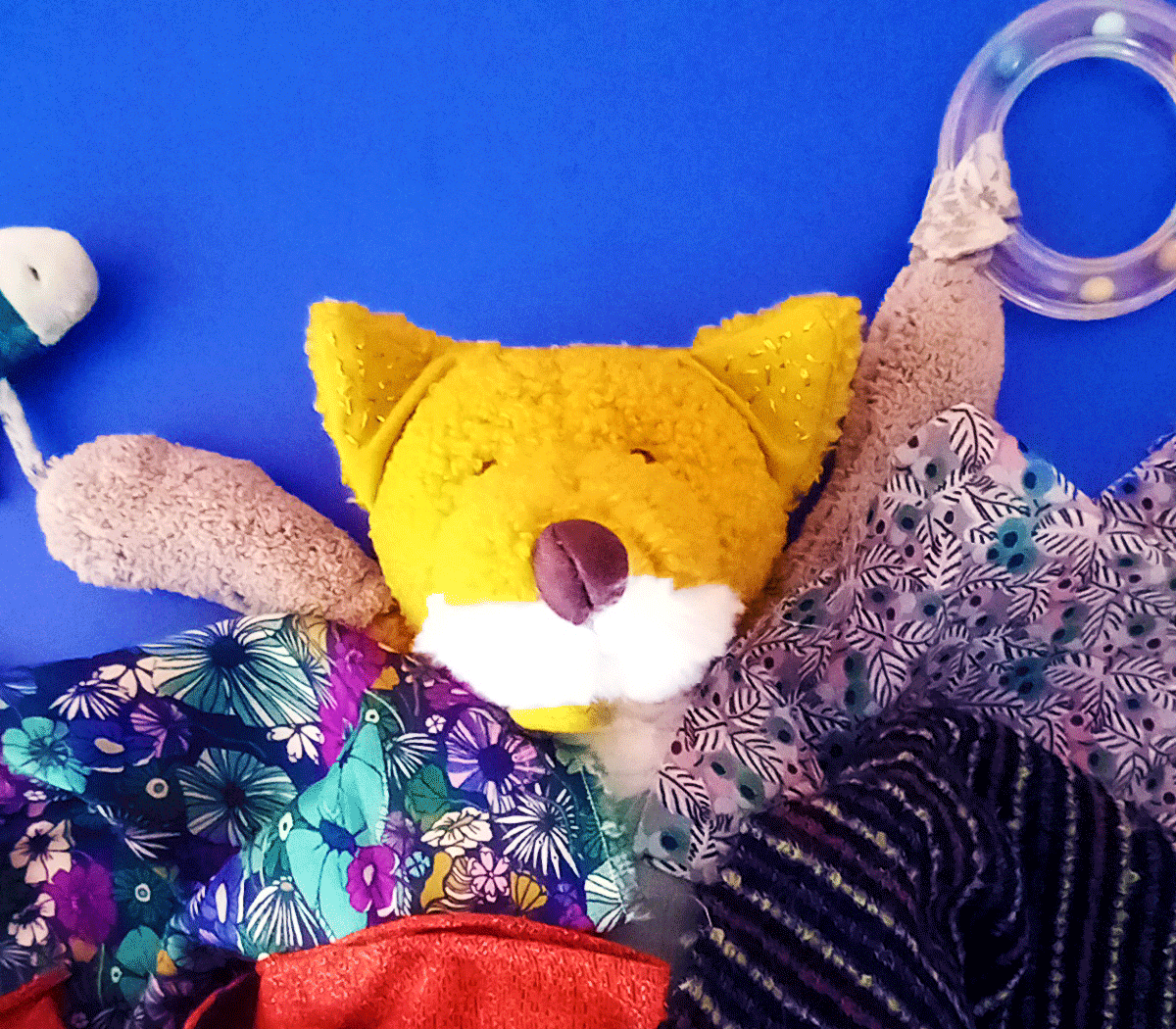 Renard