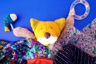 Renard