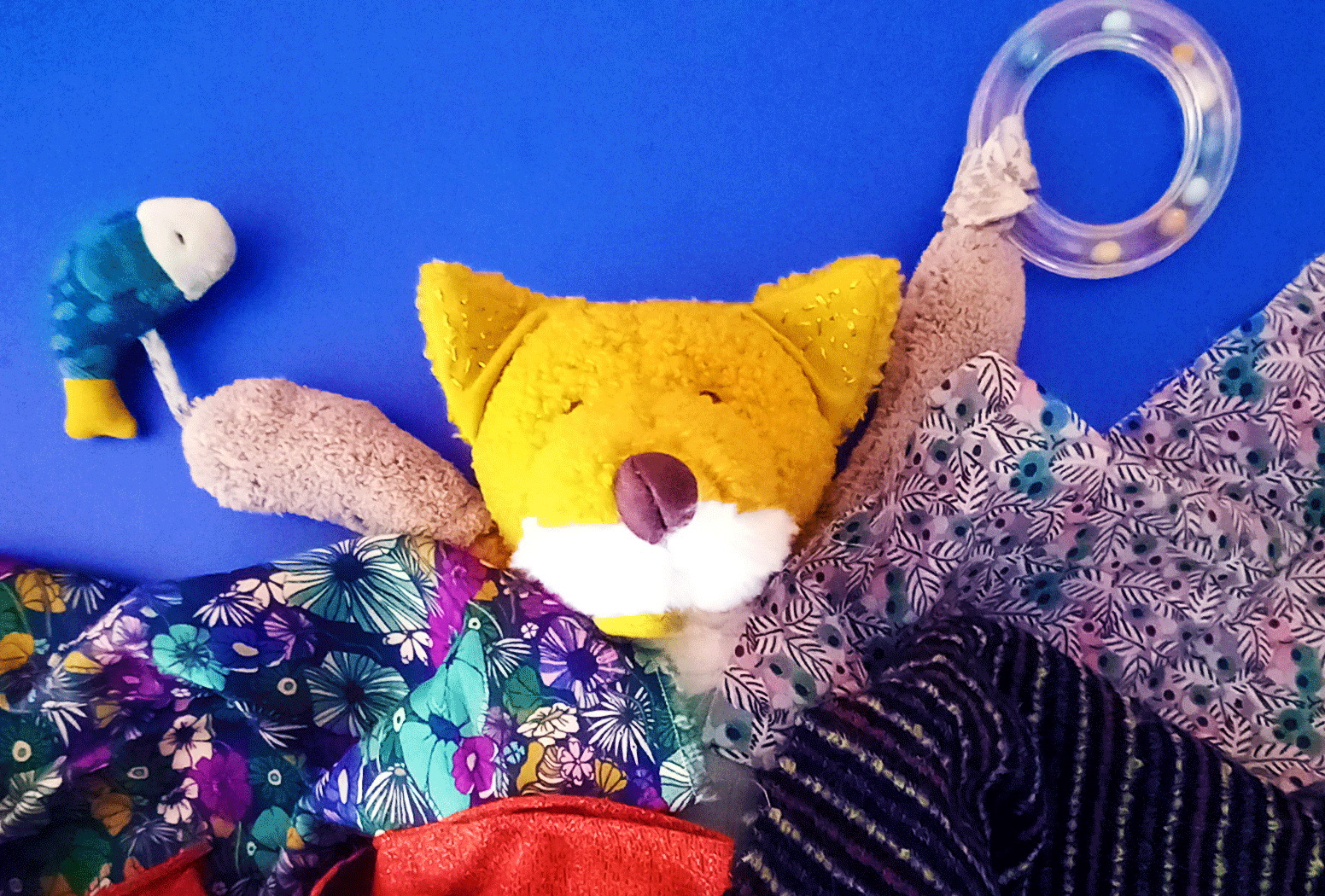 Renard