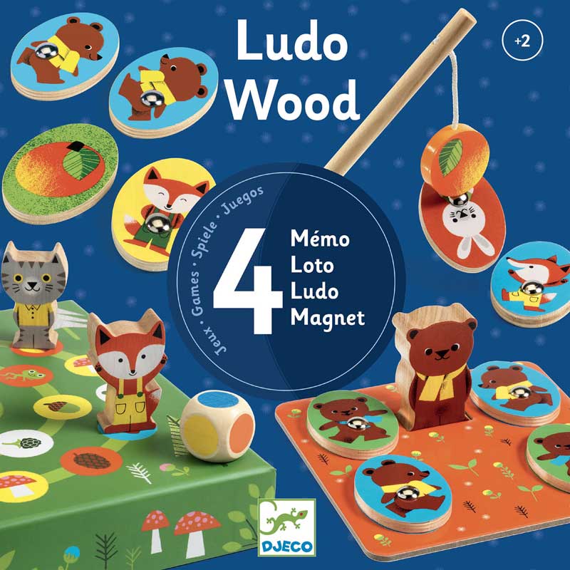 4 Jeux educatifs en bois LudoWood Djeco