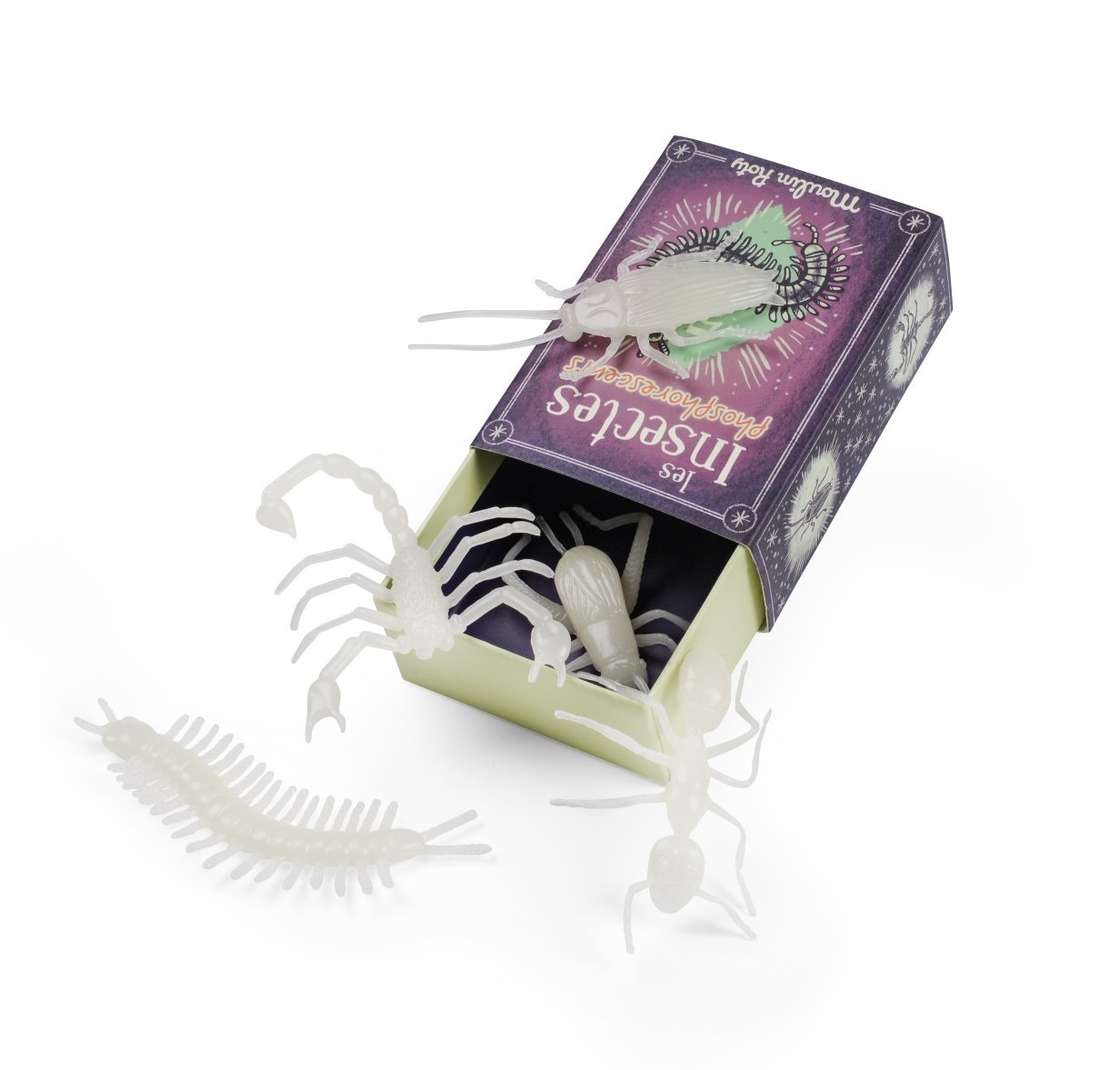 5 insectes phosphorescents Les Petites Merveilles Moulin Roty