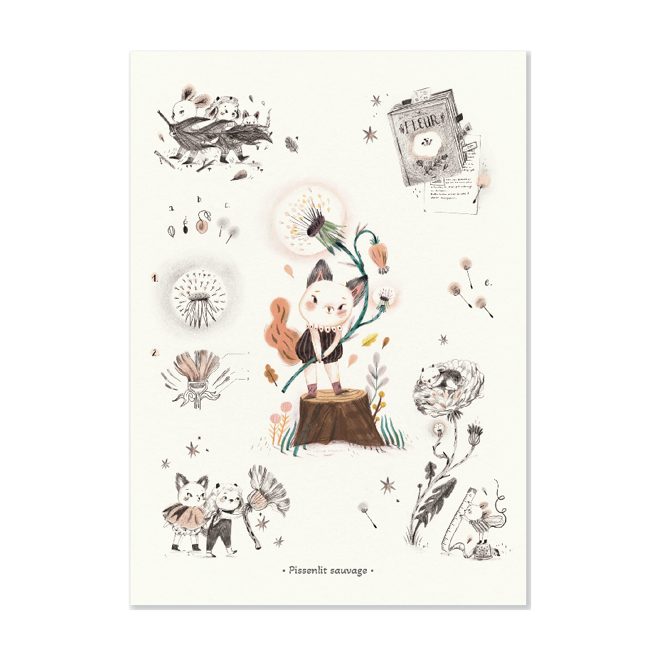 Affiche PISSENLIT sauvage 50x70cm 