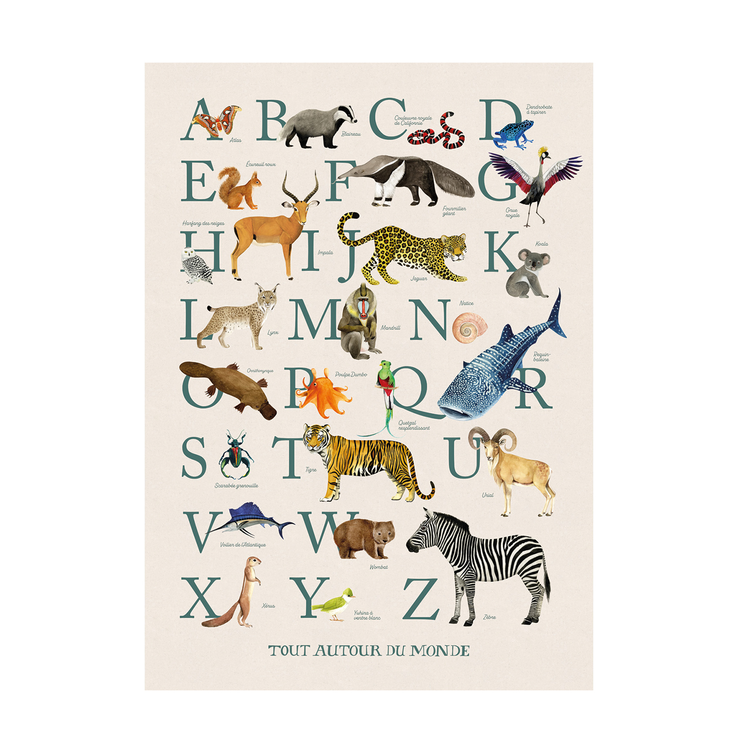 
Affiche AbÃ©cÃ©daire 50x70cm Tout autour du monde Moulin Roty
