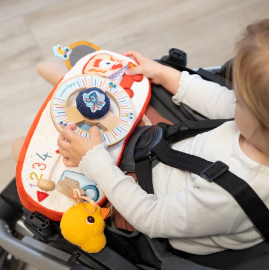 Panneau d'activités Ferme en voiture Lilliputiens