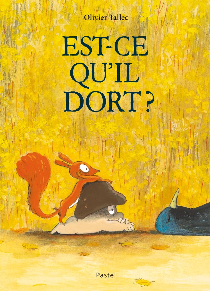 Livre Est-ce qu'il dort ? Ecole des loisirs