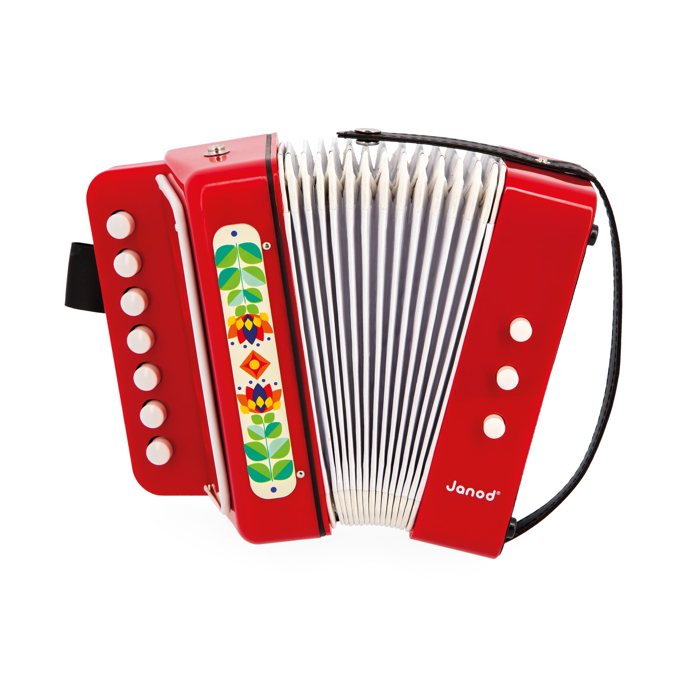 Accordeon Gioia Janod