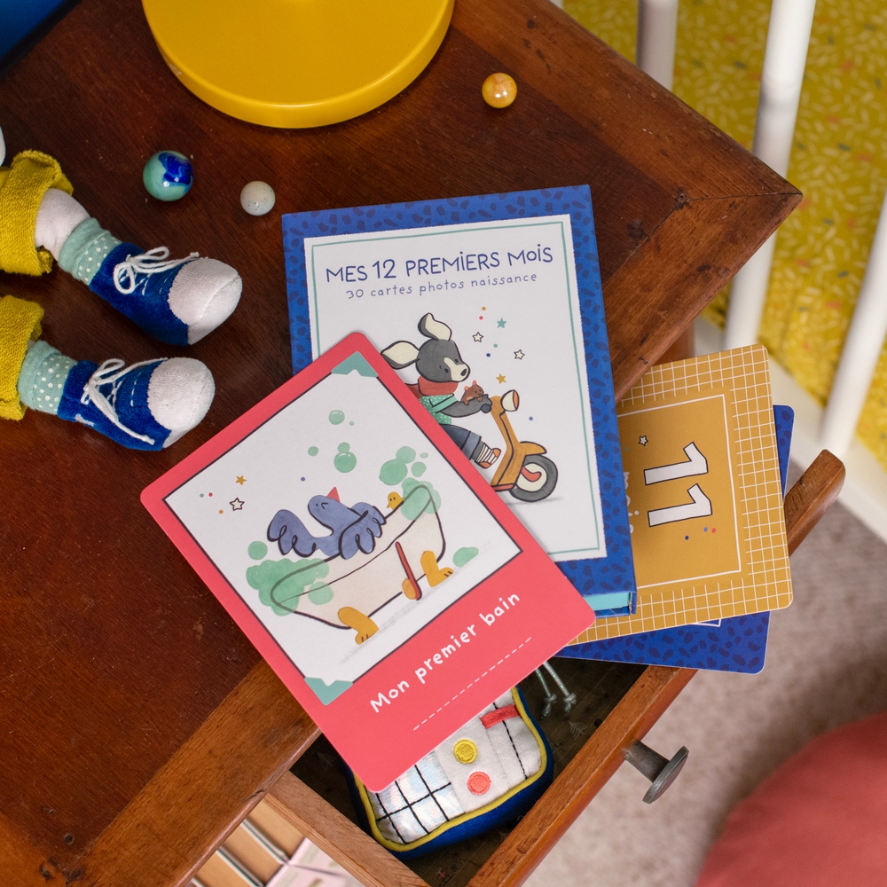 Cartes Mes 12 premiers mois Puce  Pilou Moulin Roty