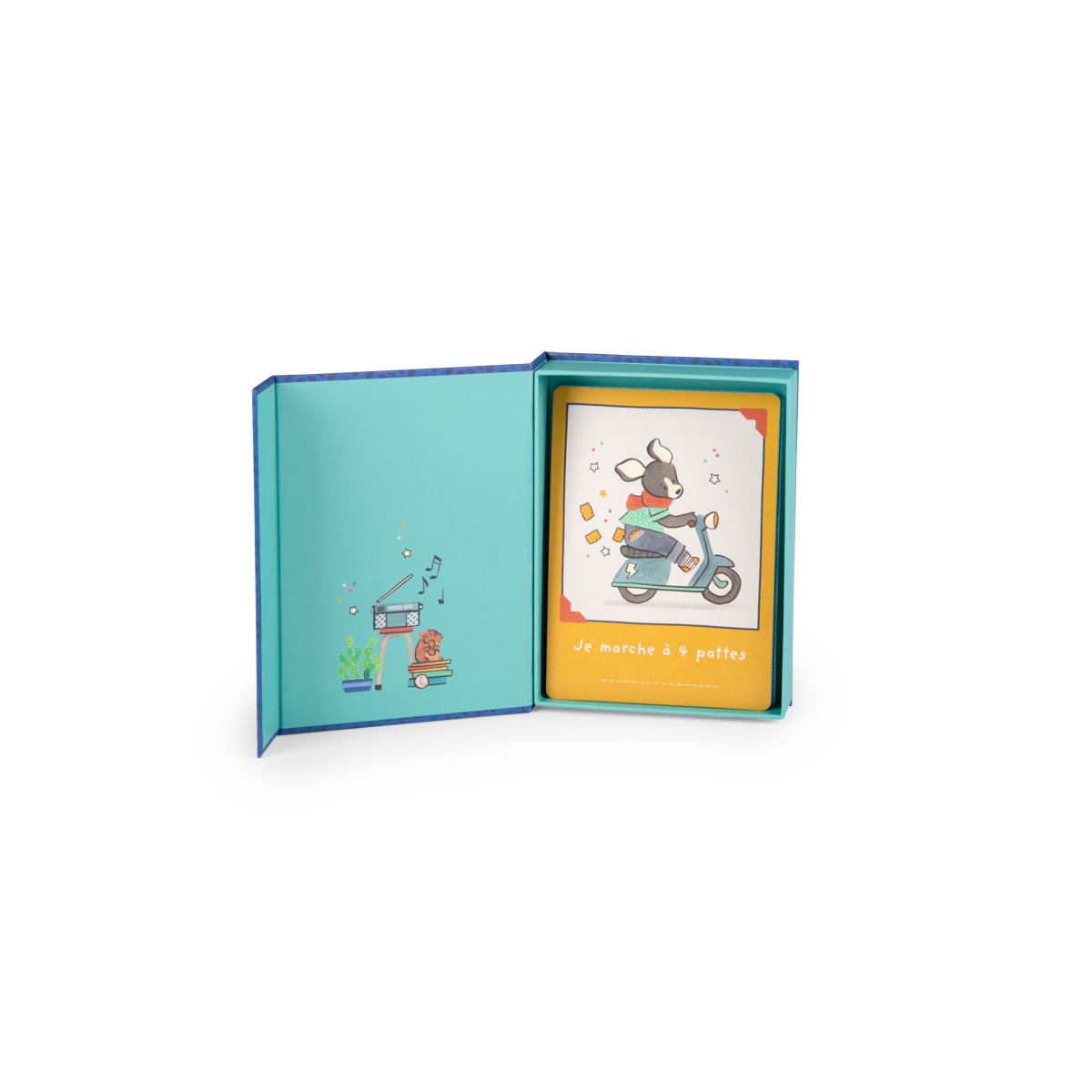 Cartes Mes 12 premiers mois Puce  Pilou Moulin Roty