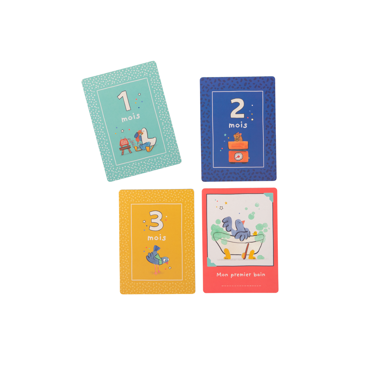 Cartes Mes 12 premiers mois Puce  Pilou Moulin Roty