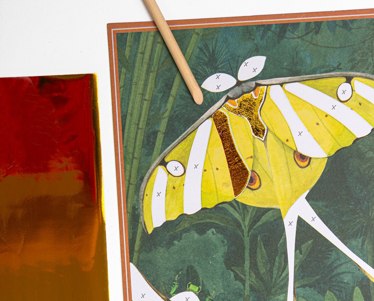 Cartes fantastiques Tout autour du monde Moulin Roty