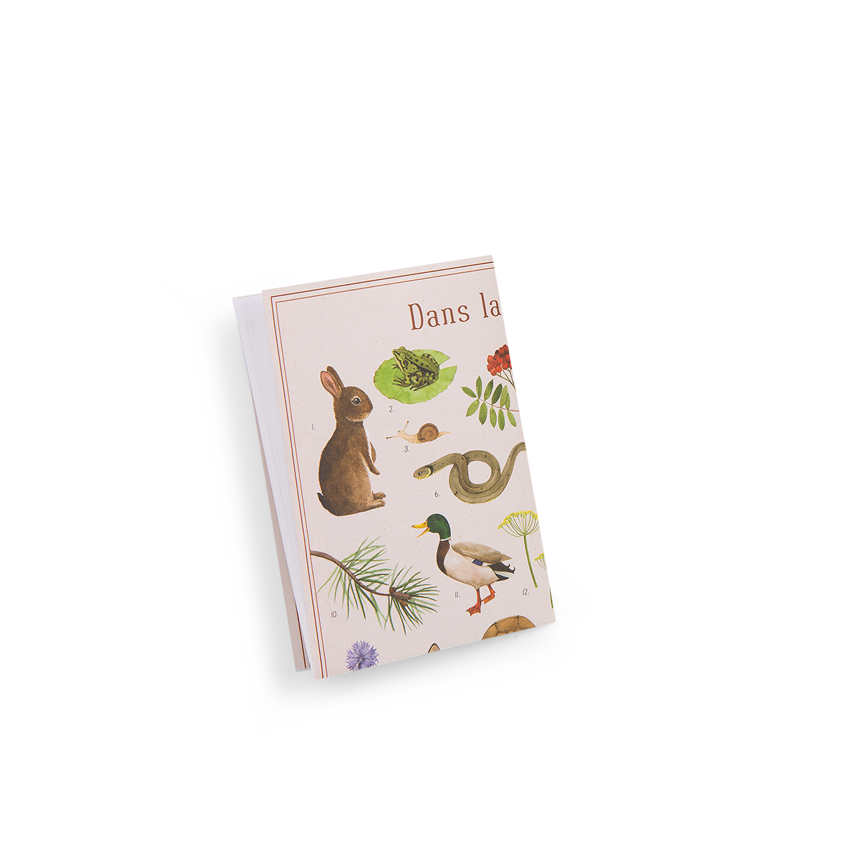 Coffret decouverte animaux du jardin Le jardin du moulin