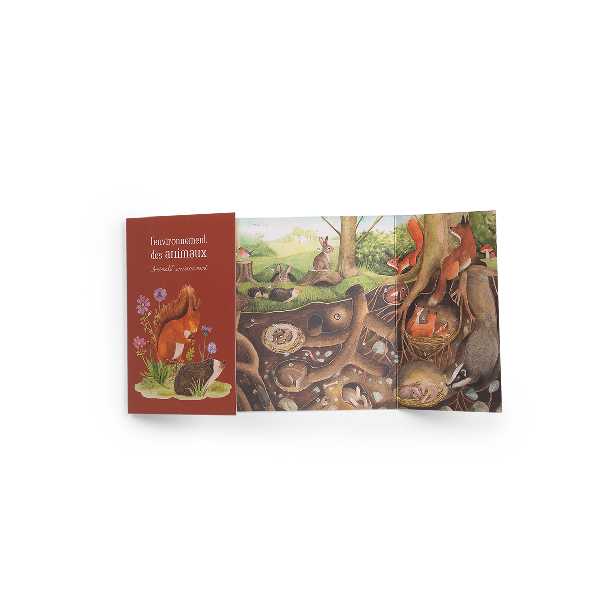 Coffret decouverte animaux du jardin Le jardin du moulin