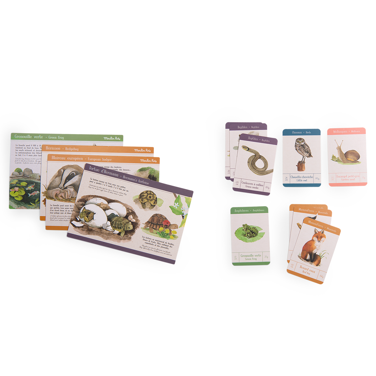 Coffret decouverte animaux du jardin Le jardin du moulin