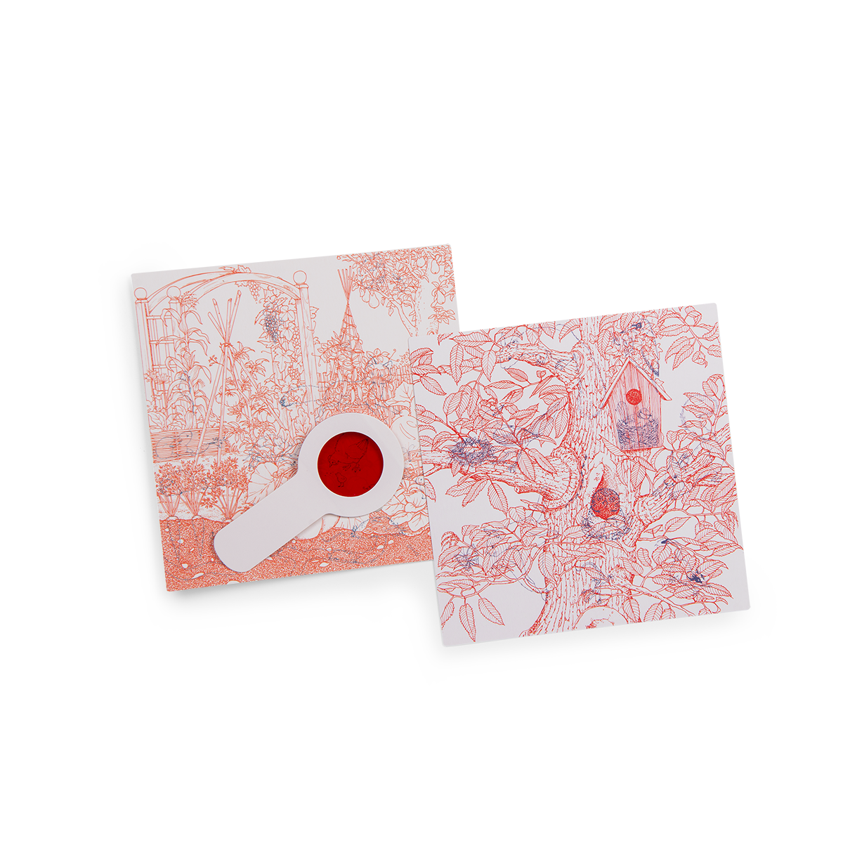 Coffret decouverte animaux du jardin Le jardin du moulin