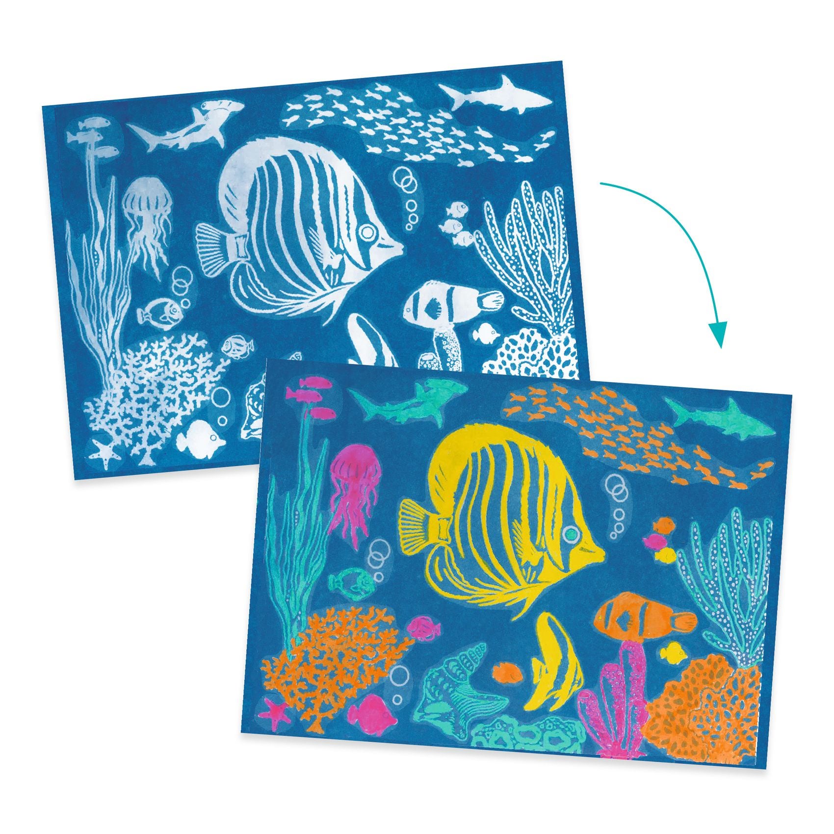 Cyanotype Outremer Djeco