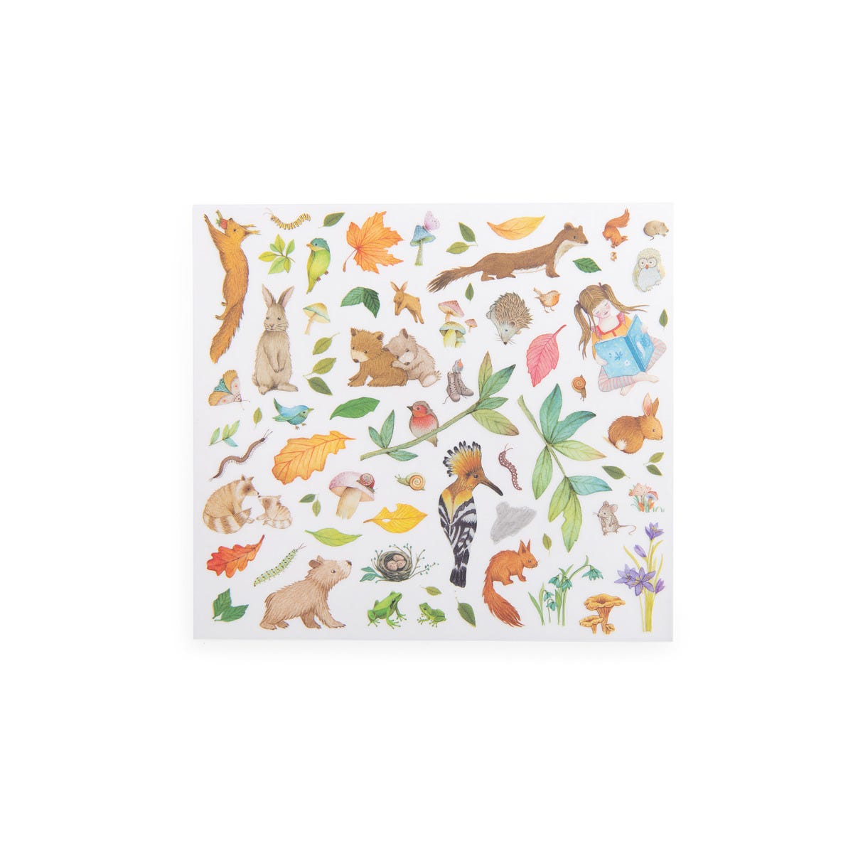 Decalcomanies Les Rosalies Moulin Roty