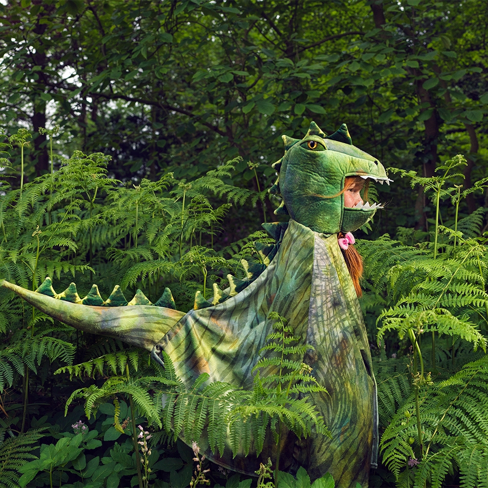 Deguisement cape Trex vert 47 ans Souza 