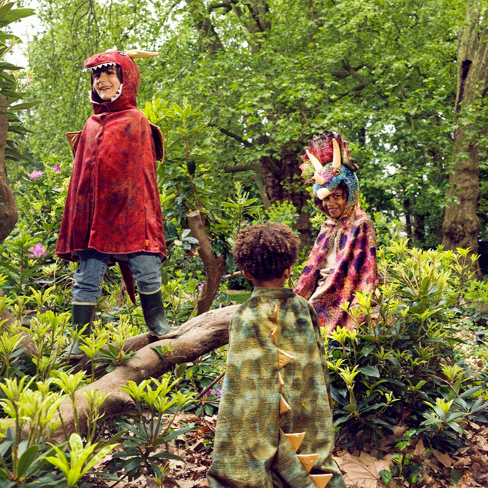 Deguisement cape Trex vert 47 ans Souza 