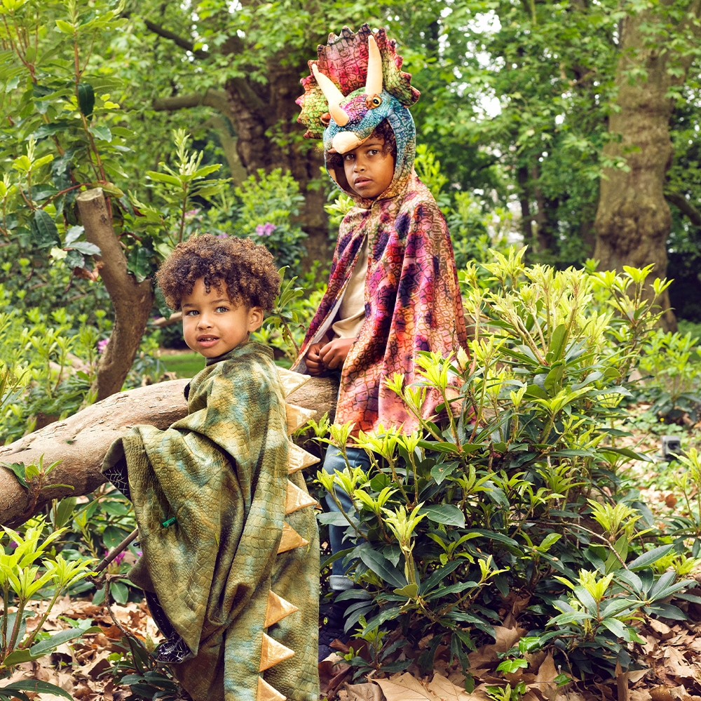 Deguisement cape Trex vert 47 ans Souza 