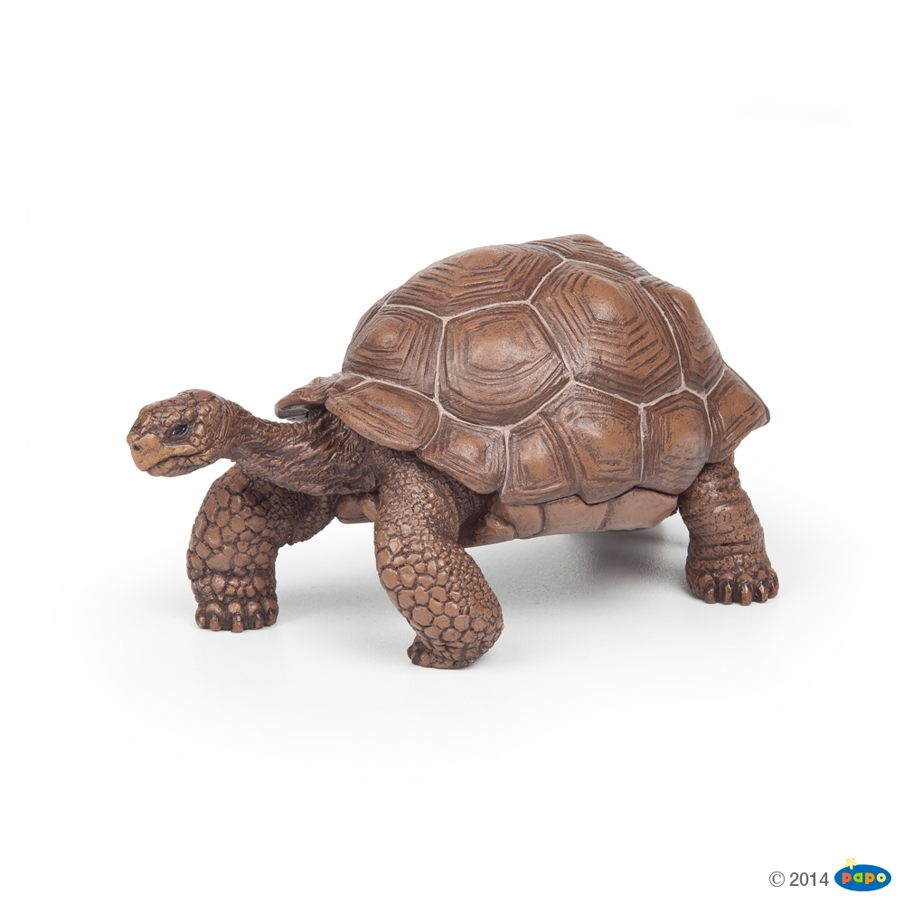 Figurine Tortue des galapagos Papo