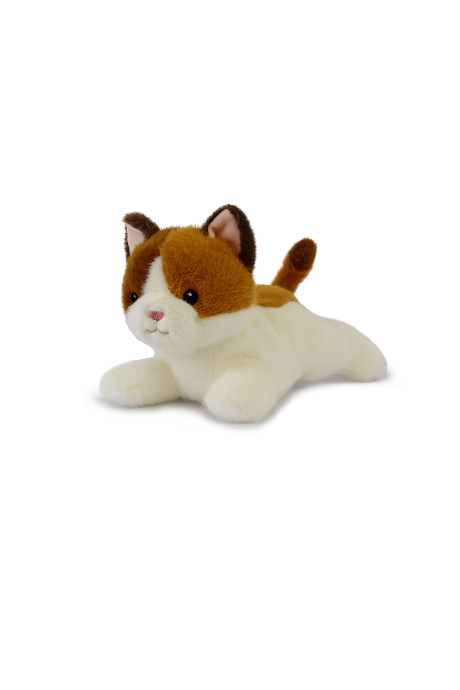 Peluche Chat 22 cm Histoire d'Ours