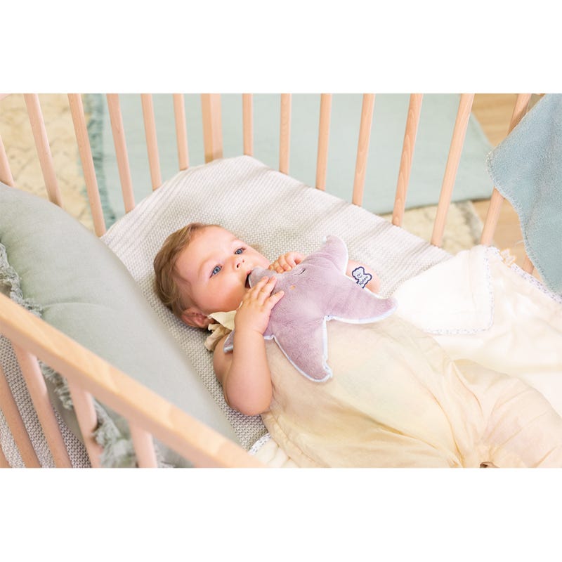 Peluche bienetre etoile de mer Kaloo