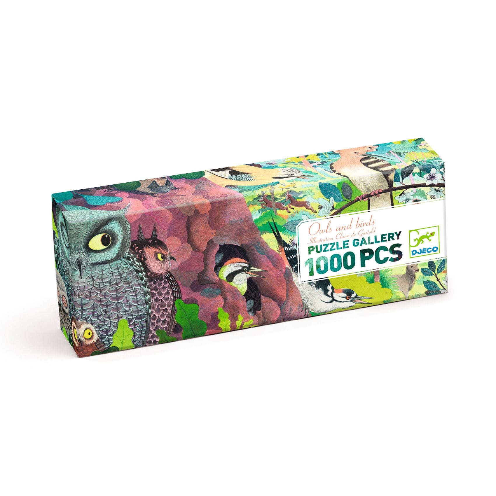 Puzzle gallery Owls and birds 1000 pcs Djeco