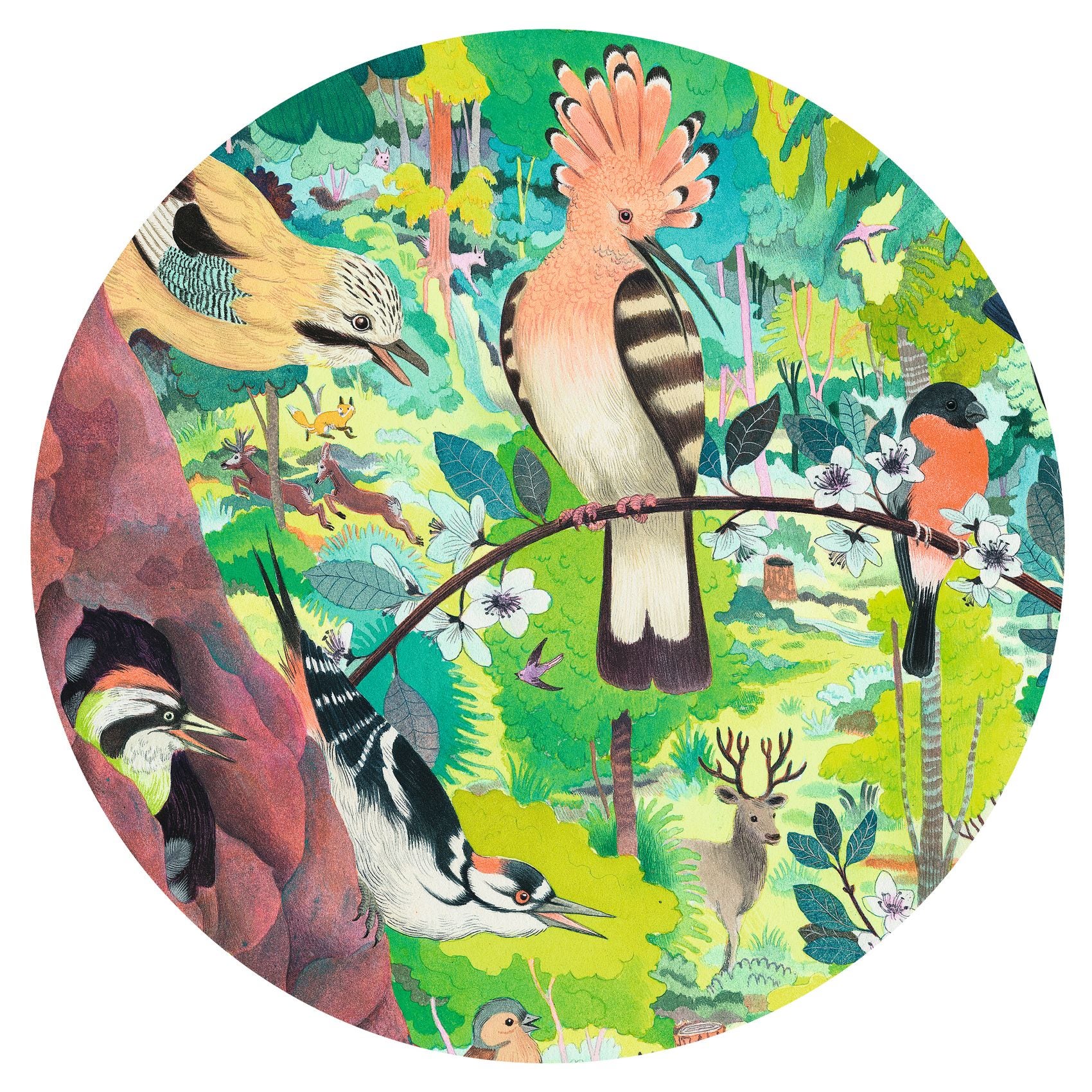 Puzzle gallery Owls and birds 1000 pcs Djeco