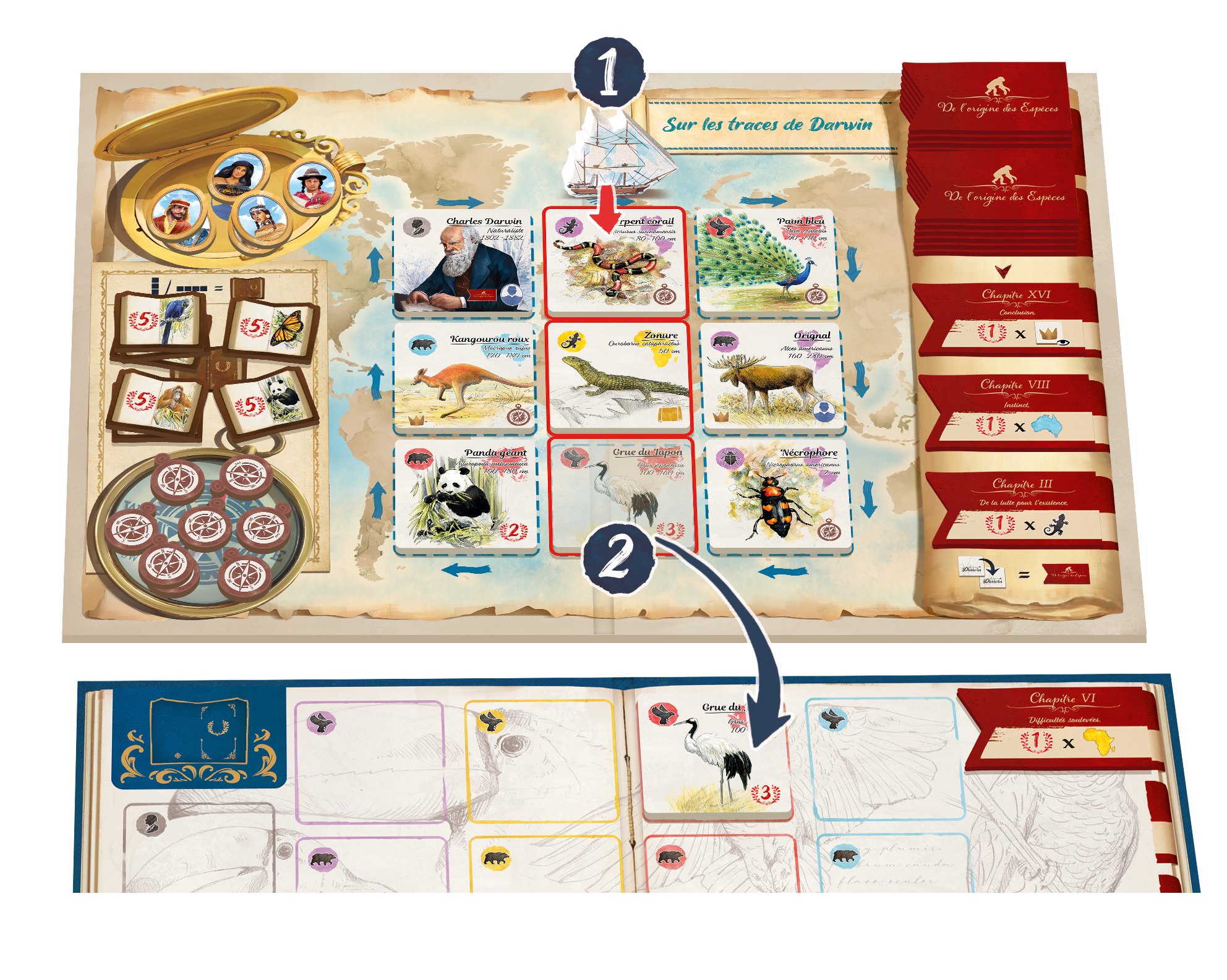 Sur les traces de Darwin Gigamic