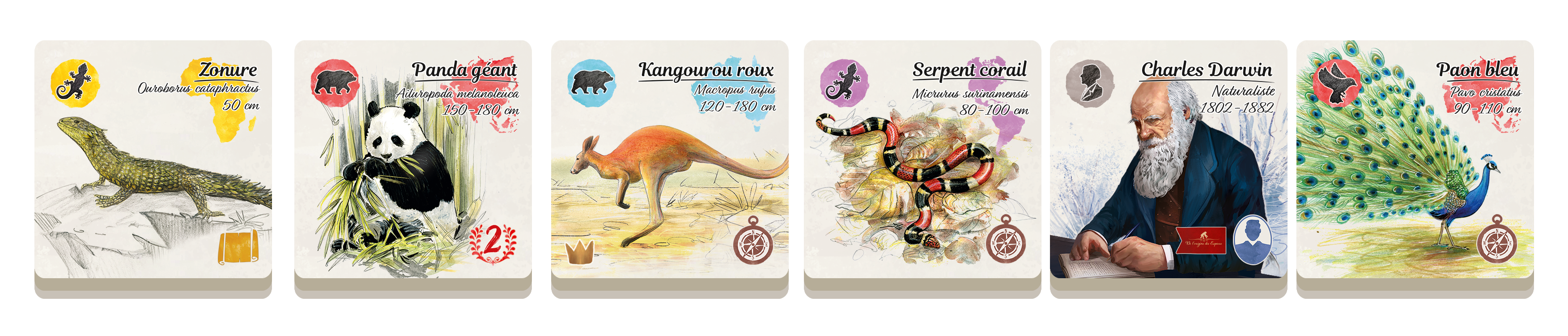 Sur les traces de Darwin Gigamic