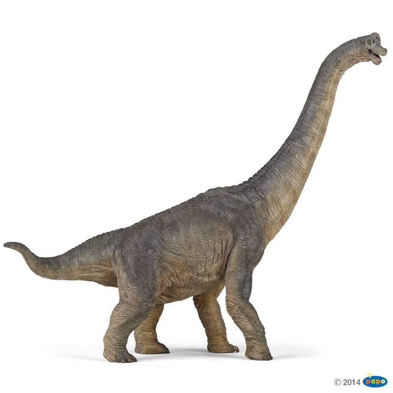 Figurine brachiosaure 315 cm Papo