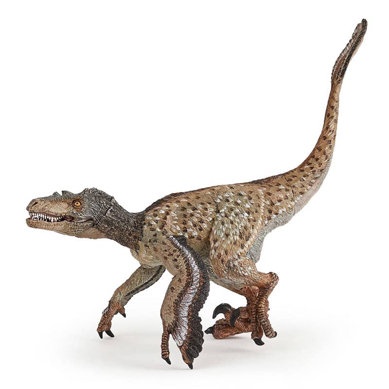Figurine Dinosaure Velociraptor a plumes Papo