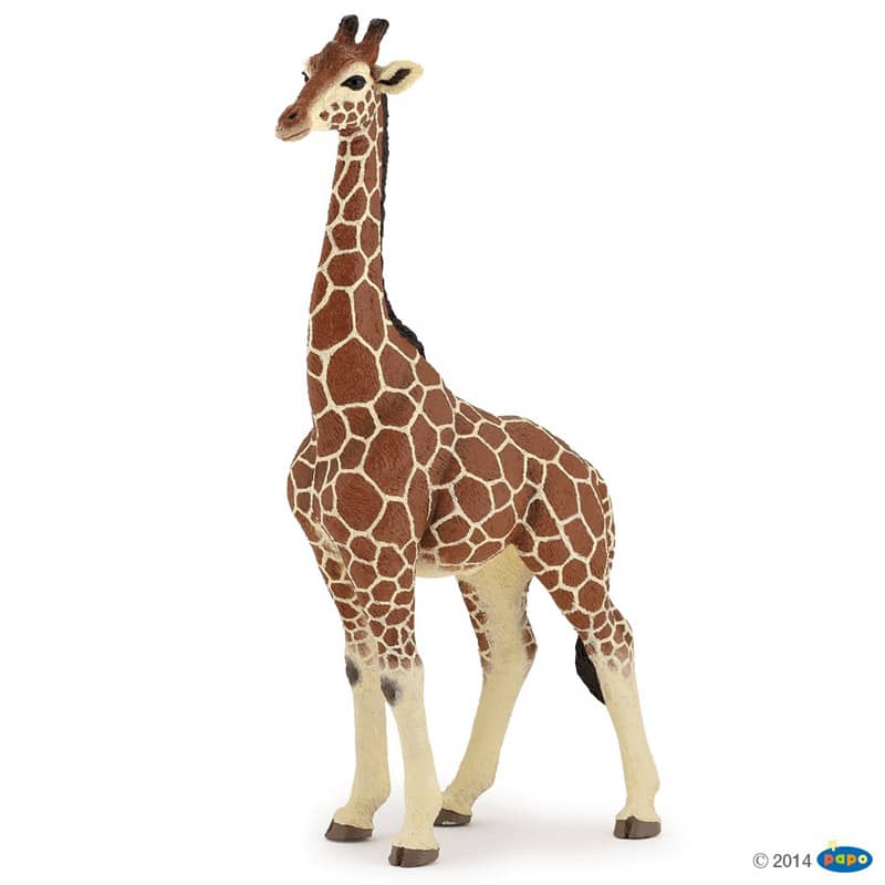 Figurine girafe male