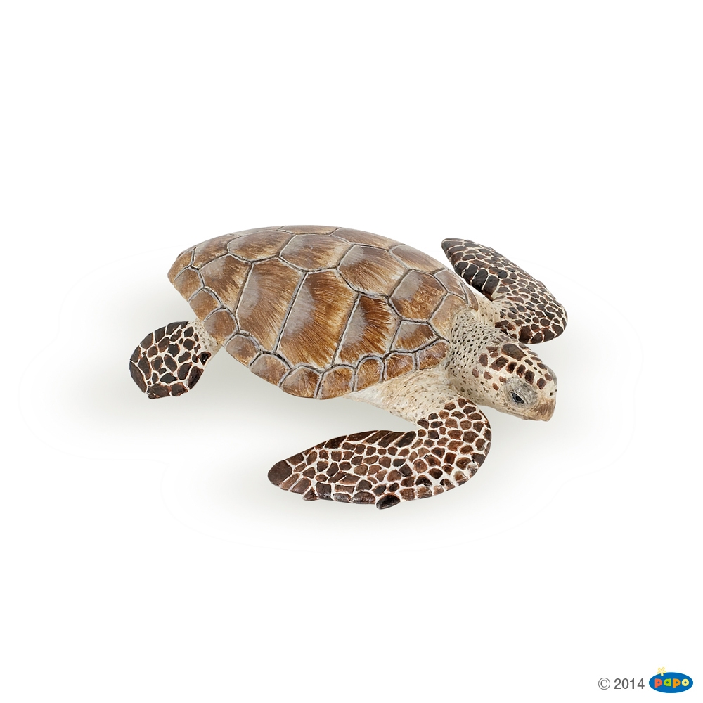 Figurine Tortue Caouanne Papo