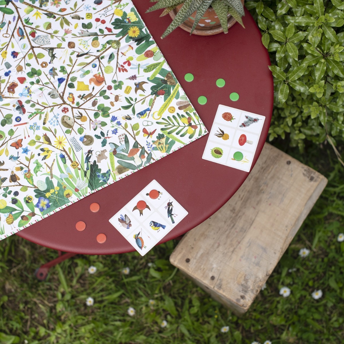 Jeu d'observation Le Jardin du Moulin Moulin Roty