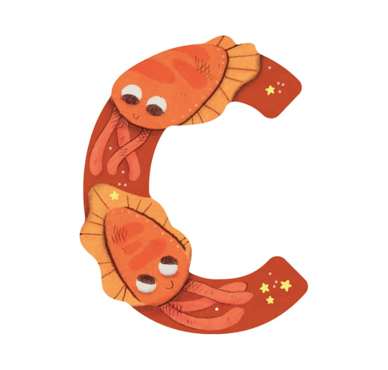 Lettre bois C orange Mon premier alphabet Moulin Roty