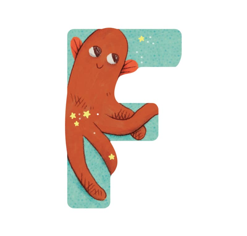 Lettre bois F bleu Mon premier alphabet Moulin Roty