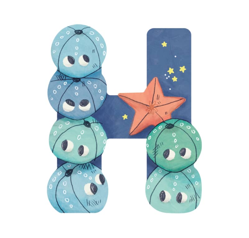 Lettre bois H bleu Mon premier alphabet Moulin Roty