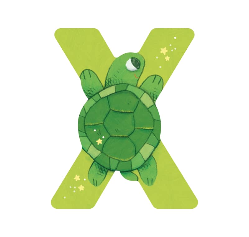 Lettre bois X vert Mon premier alphabet Moulin Roty