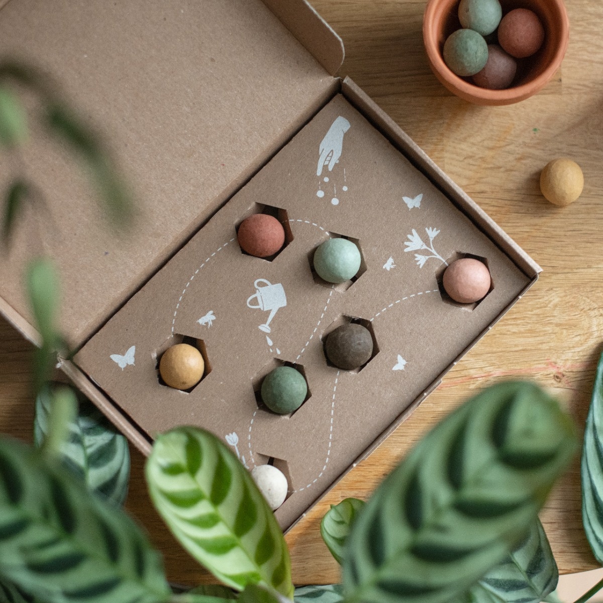 Coffret de 7 bombes a graines Le jardin du Moulin