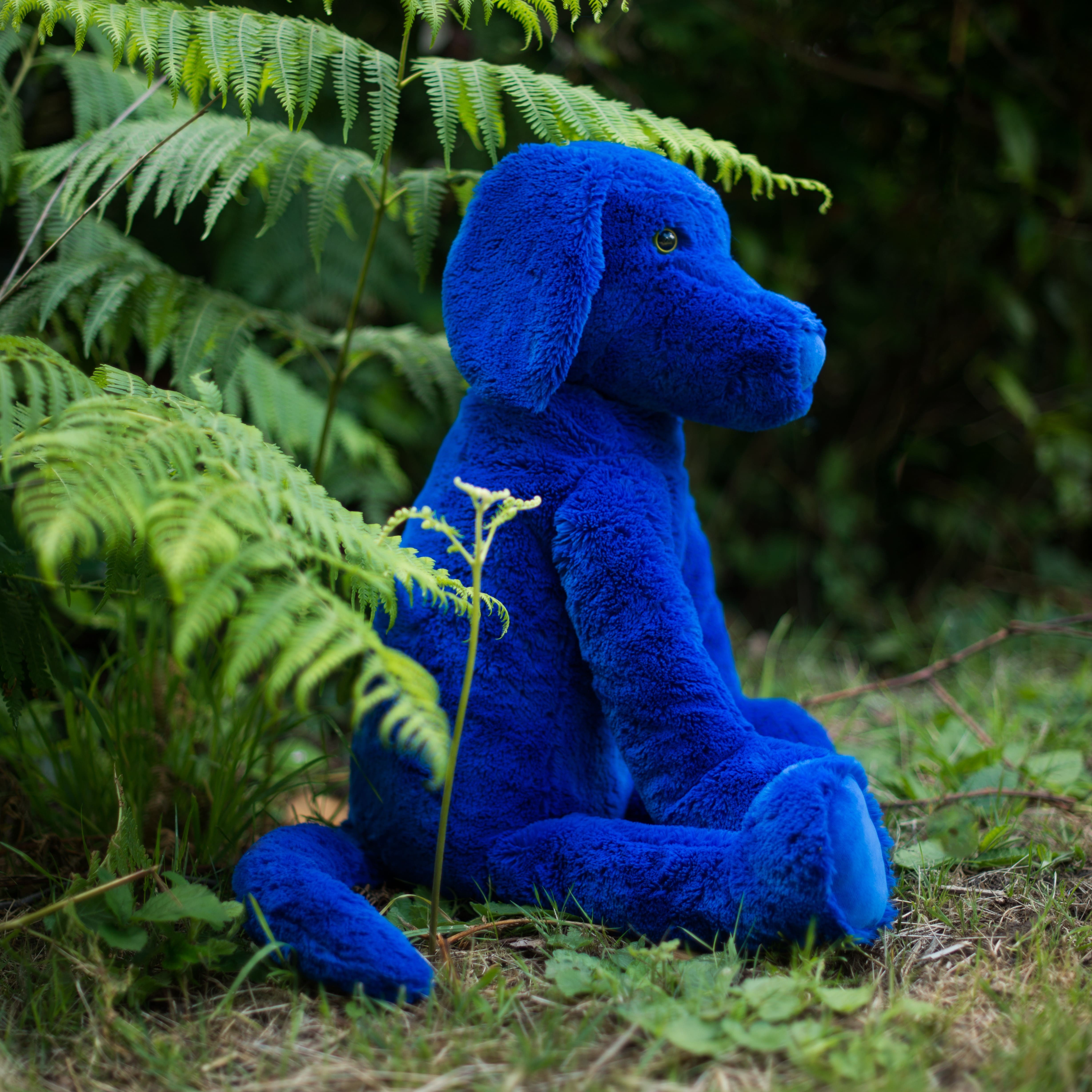 Peluche Chien Bleu Moulin Roty
