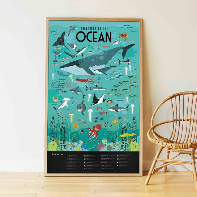 Poster et stickers Ocean Poppik